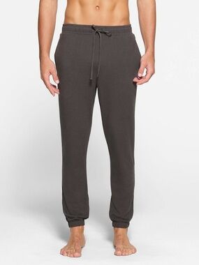 SKIMS Jersey Lounge Men’s Jogger in Ash